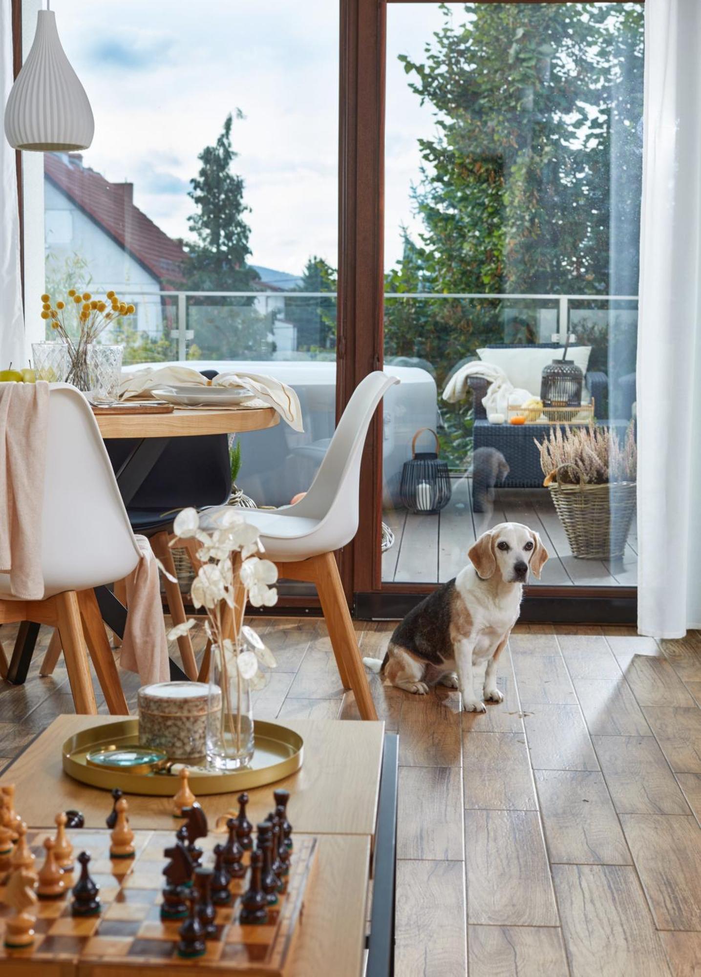 Apartmán Oh Deer! Jelení Hora Exteriér fotografie